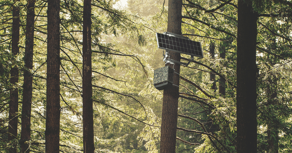 Wildlife Protection System